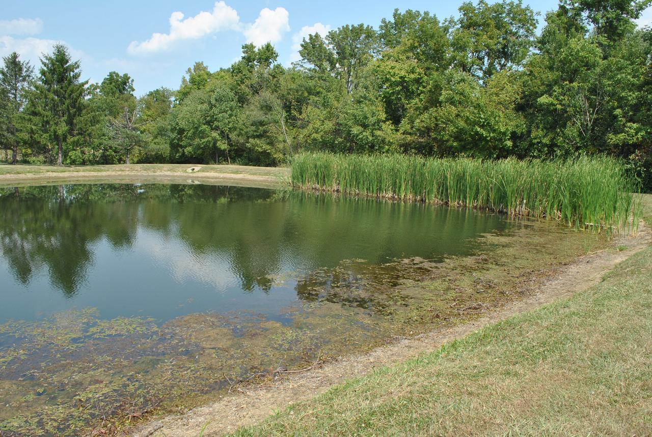 Wilmington Camping Resort Екстериор снимка