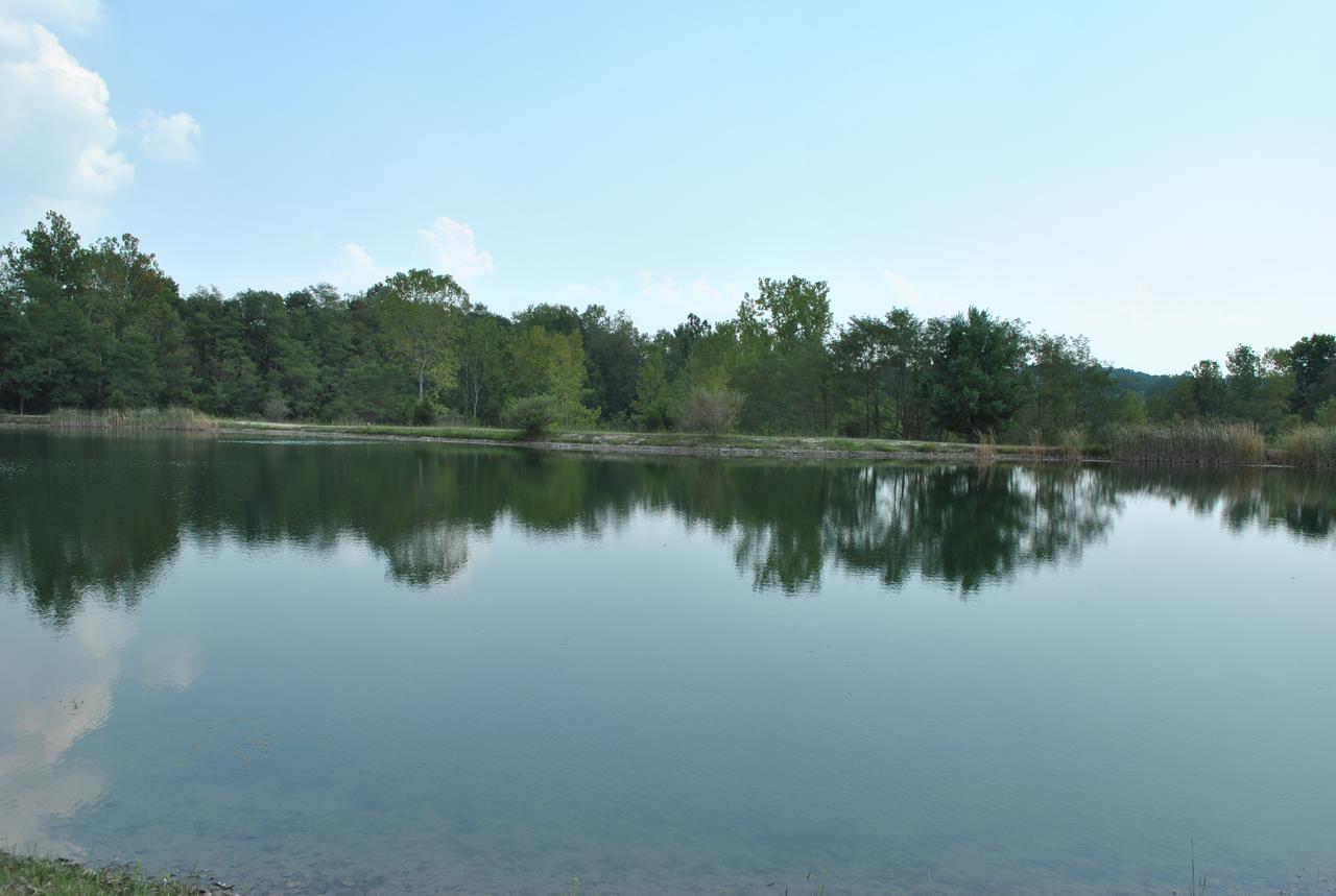 Wilmington Camping Resort Екстериор снимка